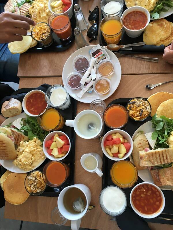 Daily D accepte les chiens à Bordeaux