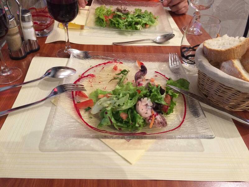 Le Lyon de l'Atlas accepte les chiens à Lyon