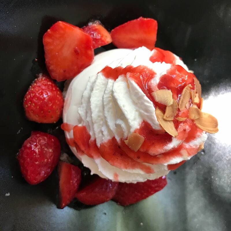 le chaudron accepte les chiens à Cité de Carcassonne