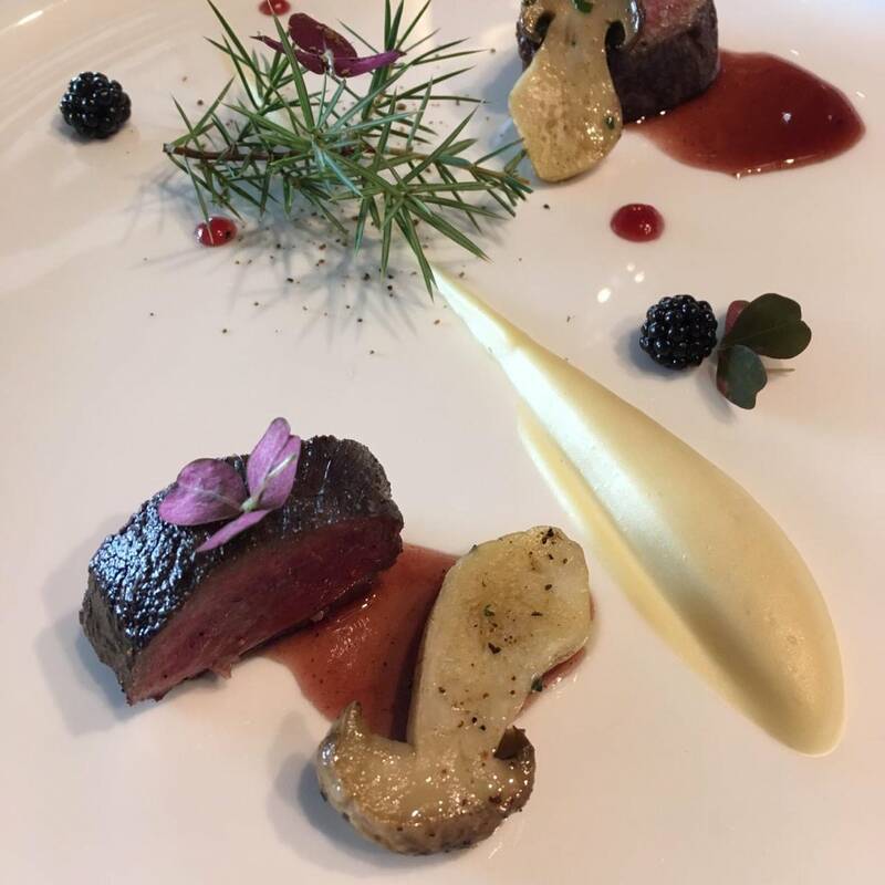 Les Morainières accepte les chiens à Jongieux