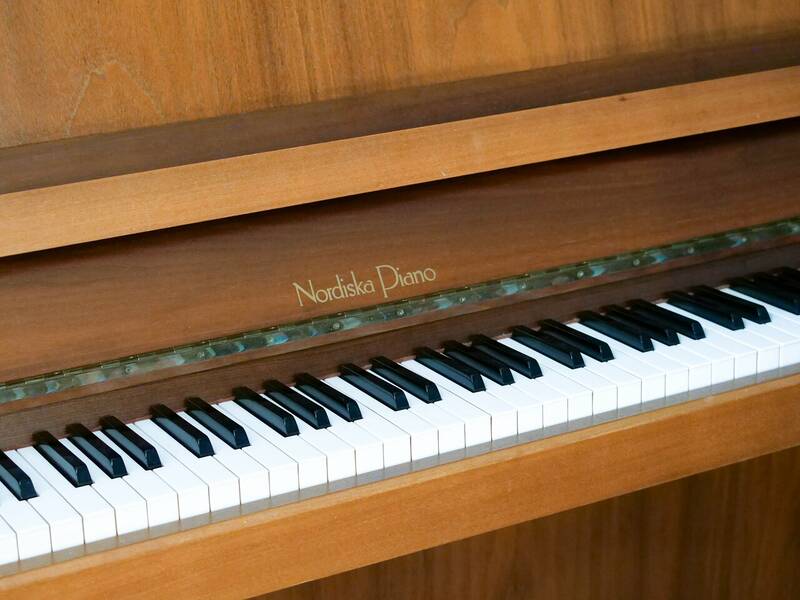 Le Pian's accepte les chiens à Saint-Jean-de-Luz