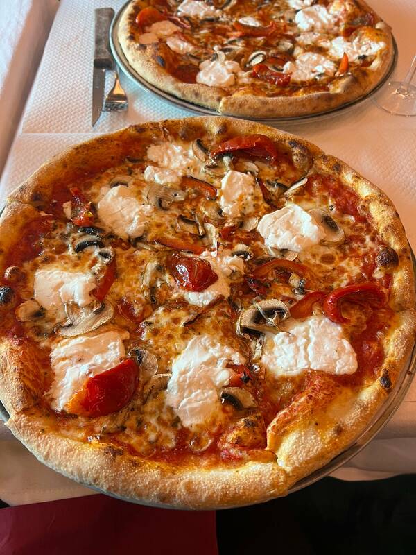 Le Colonel accepte les chiens à Paris