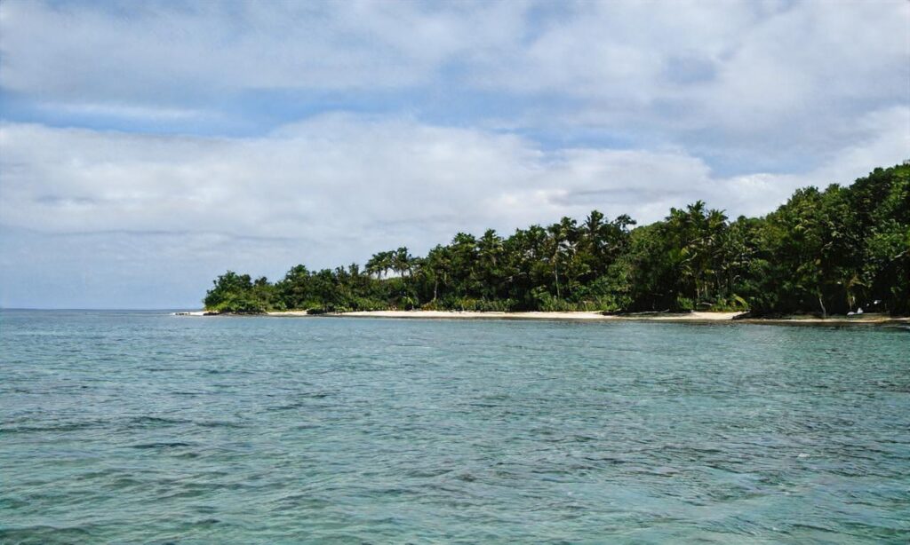 Plage du Pacha accepte les chiens à Fréjus
