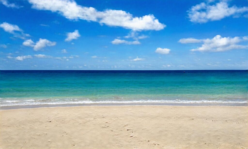 Plage Grève d'Hillion accepte les chiens à Hillion