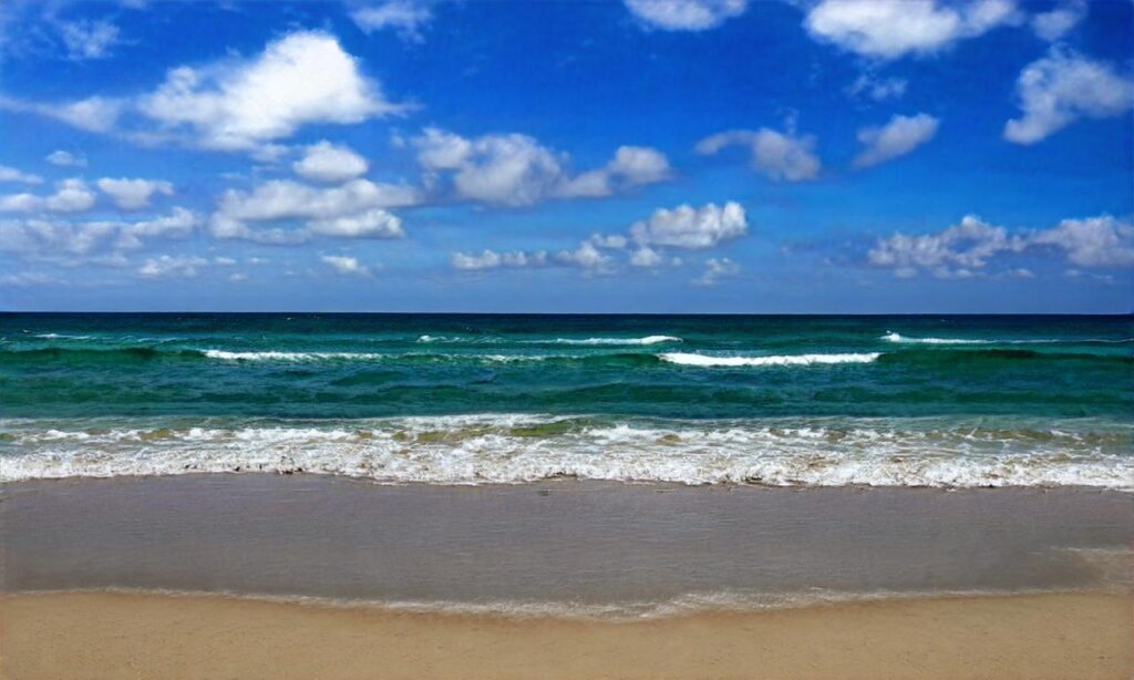 Plage de la coubre – Tremblade accepte les chiens à La Tremblade