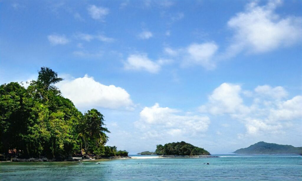 L’île Chausey accepte les chiens à Granville