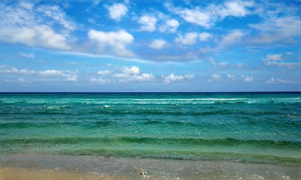 Cani-plage à Saint-Briac-Sur-Mer accepte les chiens à Saint-Briac-sur-Mer