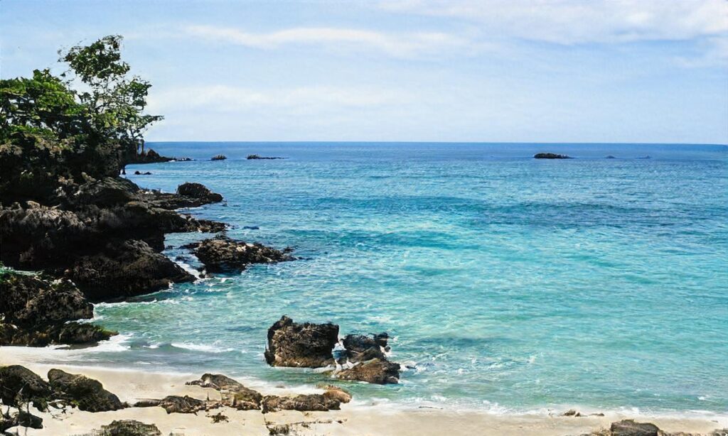 Etang de la Bonde accepte les chiens à Ansouis