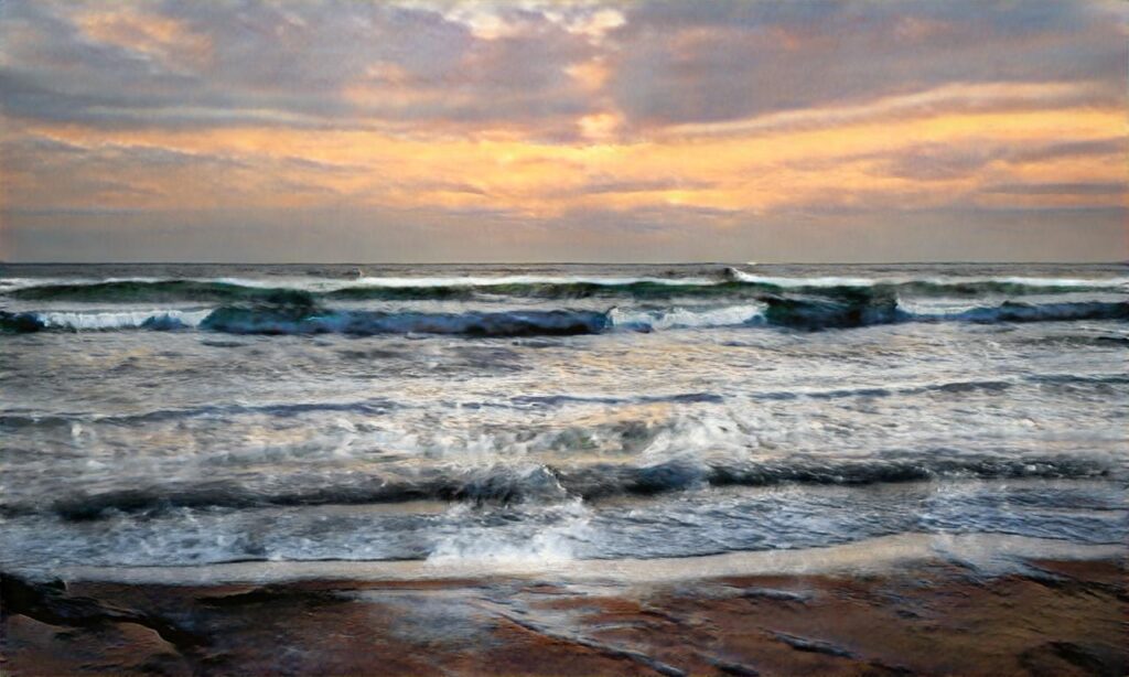 Plage du Racou – Argelès-sur-Mer accepte les chiens à Argelès-sur-Mer