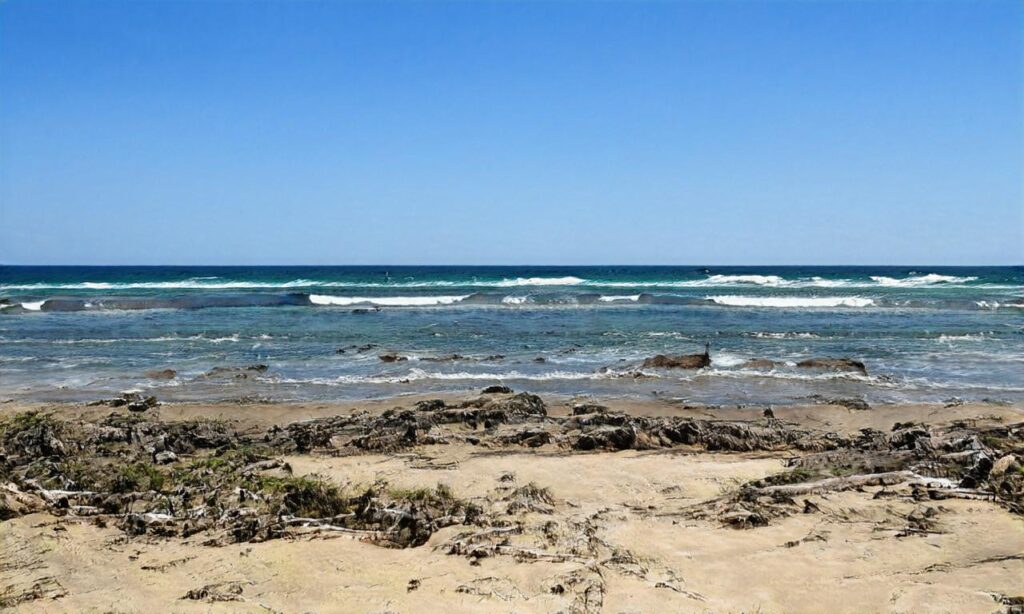 Plage du Sémaphore accepte les chiens à Port-Bail-sur-Mer