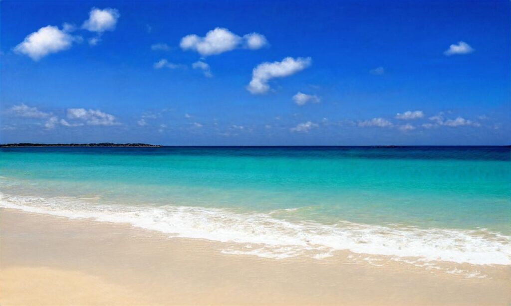 Plage de Saint-Martin-de-Bréhal accepte les chiens à Bréhal