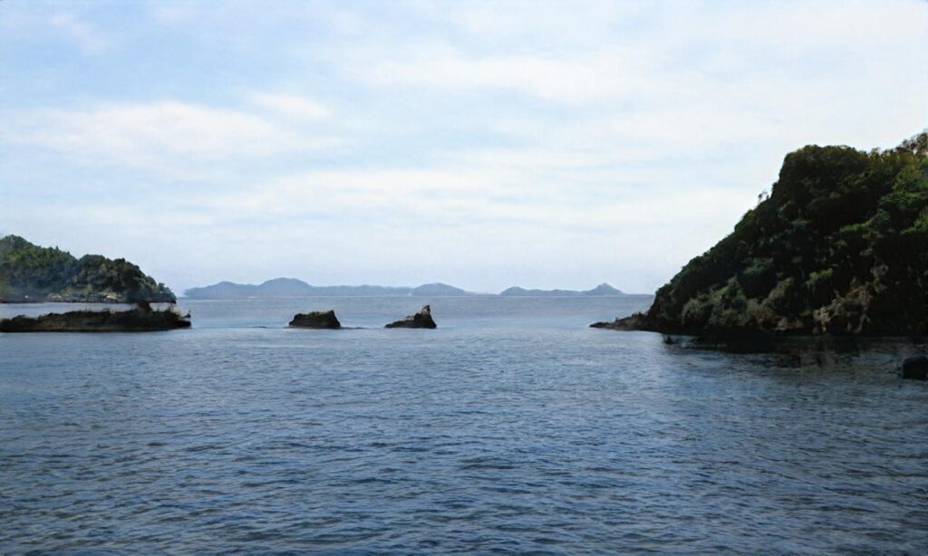 Lac de Saint Ferreol accepte les chiens à Revel