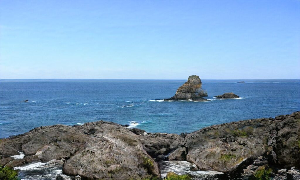 Lac de Sanguinet accepte les chiens à Sanguinet