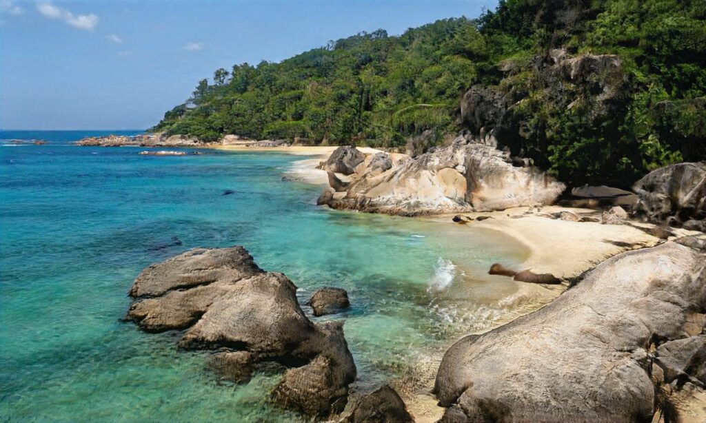 Plage du grand travers – La Grande Motte accepte les chiens à La Grande-Motte