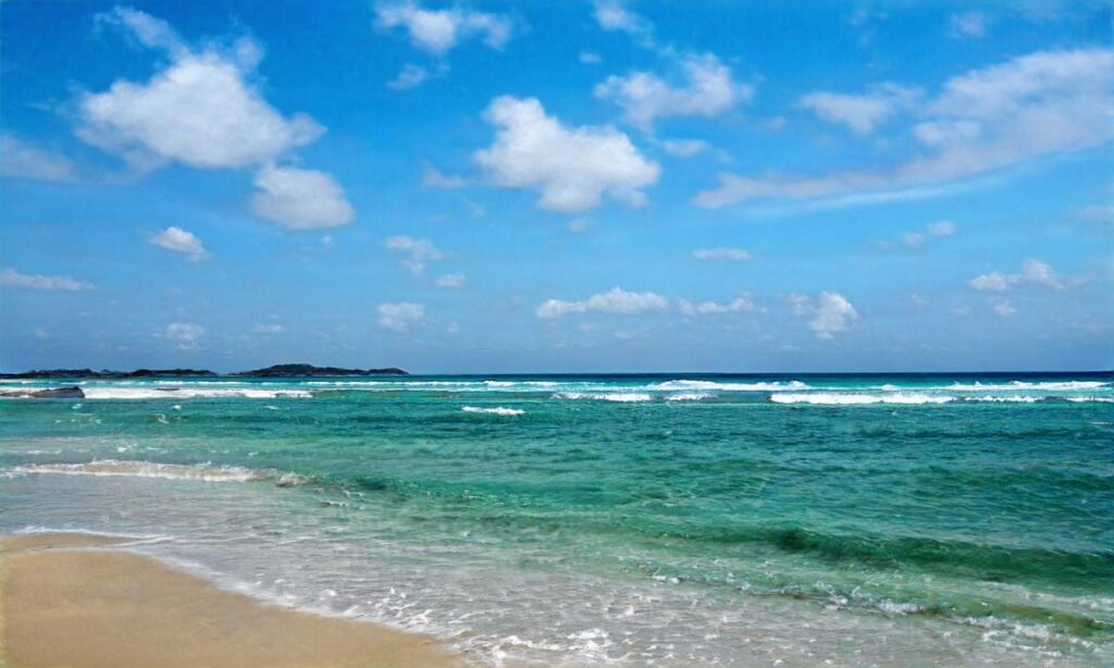 Dog Beach Bandol accepte les chiens à Bandol