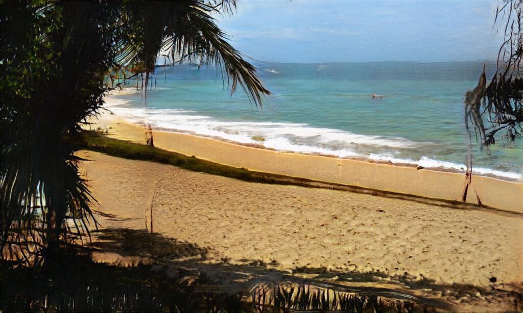 Cani-plage Menton accepte les chiens à Menton