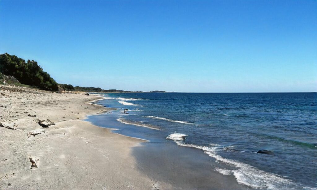 Plage de Roquebrun accepte les chiens à Roquebrun