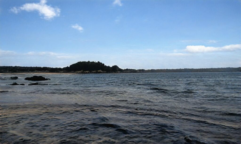 Plage de Sciez accepte les chiens à Sciez