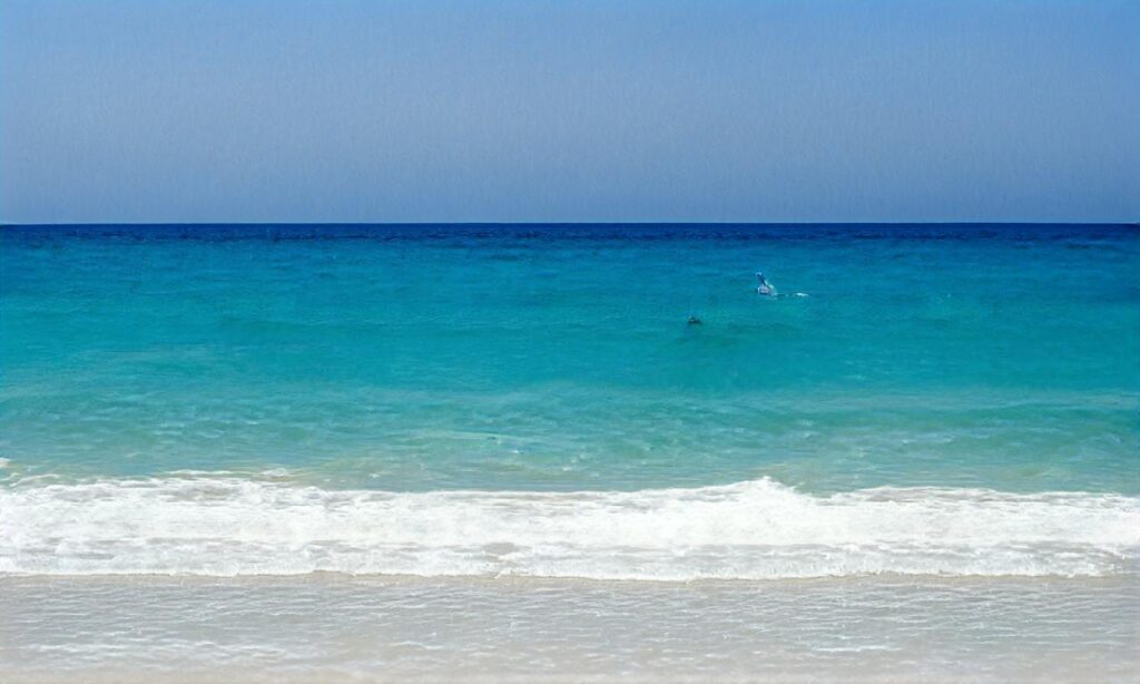 Plages de Vierville-sur-mer accepte les chiens à Vierville-sur-Mer