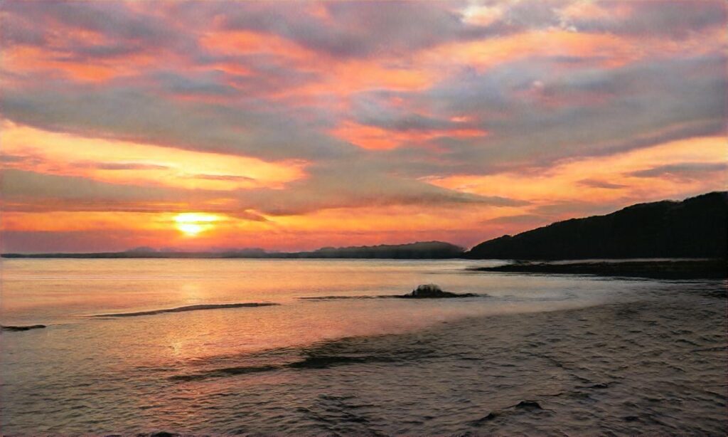 Plage de Quend-Plage-les-Pins accepte les chiens à Quend