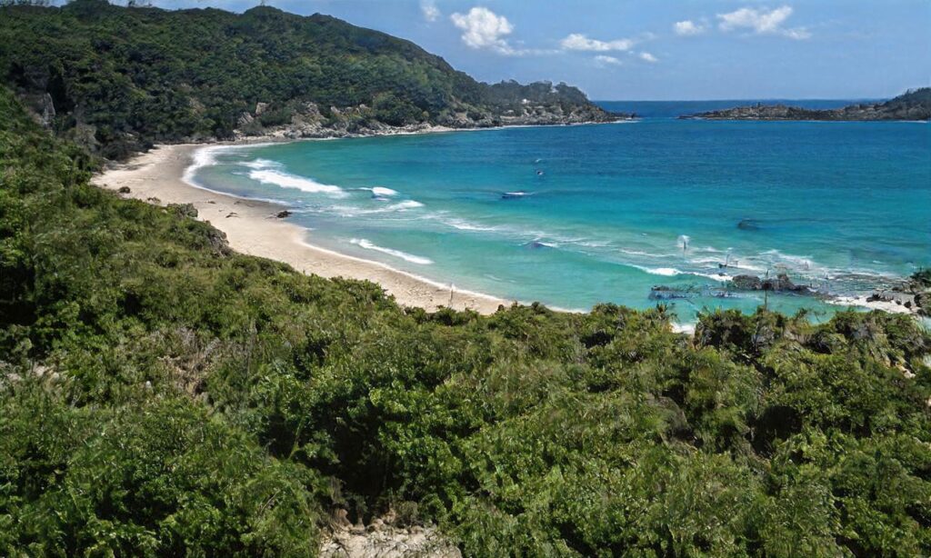 Plage d’Urville-Nacqueville accepte les chiens à La Hague