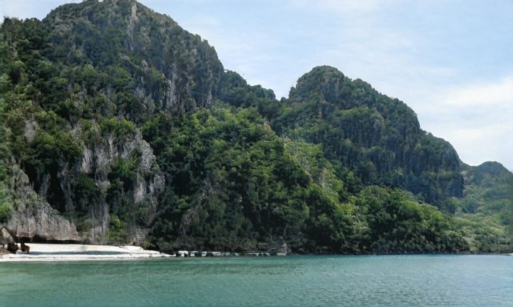Plage de Saint Julien – Lac d’Esparron accepte les chiens à Esparron-de-Verdon