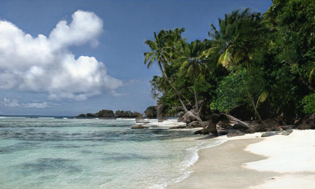 Cani-plage Plouhinec accepte les chiens à Plouhinec