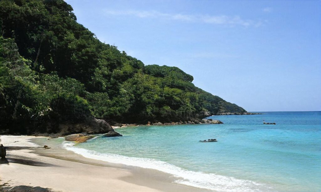 Plage des Tonnelles accepte les chiens à Saint-Jean-de-Monts