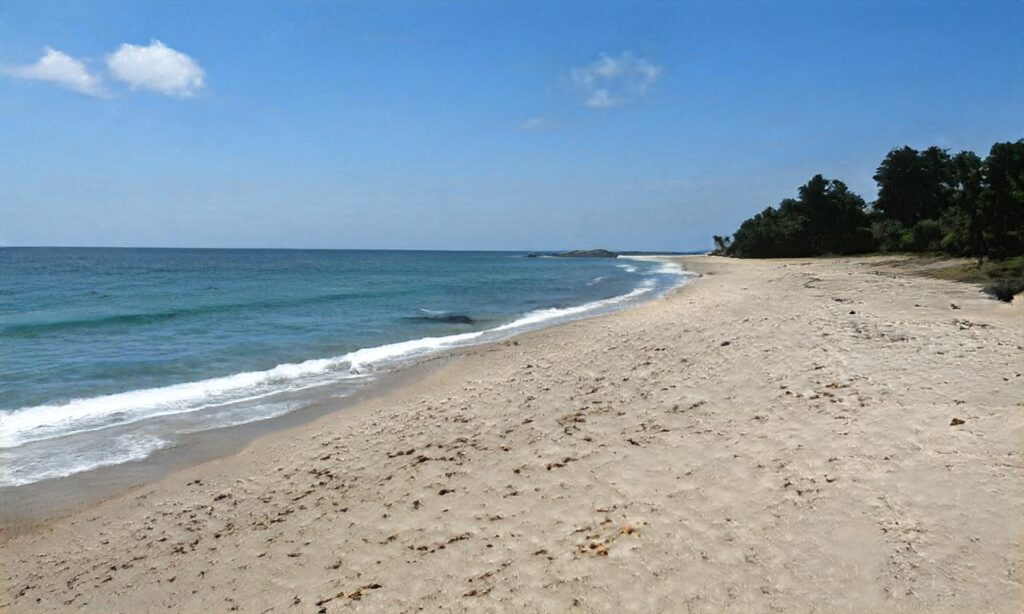 Plage de la Mondrée accepte les chiens à Fermanville
