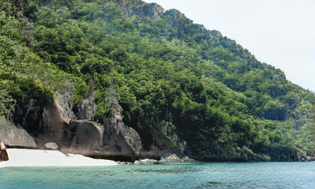 Plage de la Coubre et du vieux Phare accepte les chiens à La Tremblade