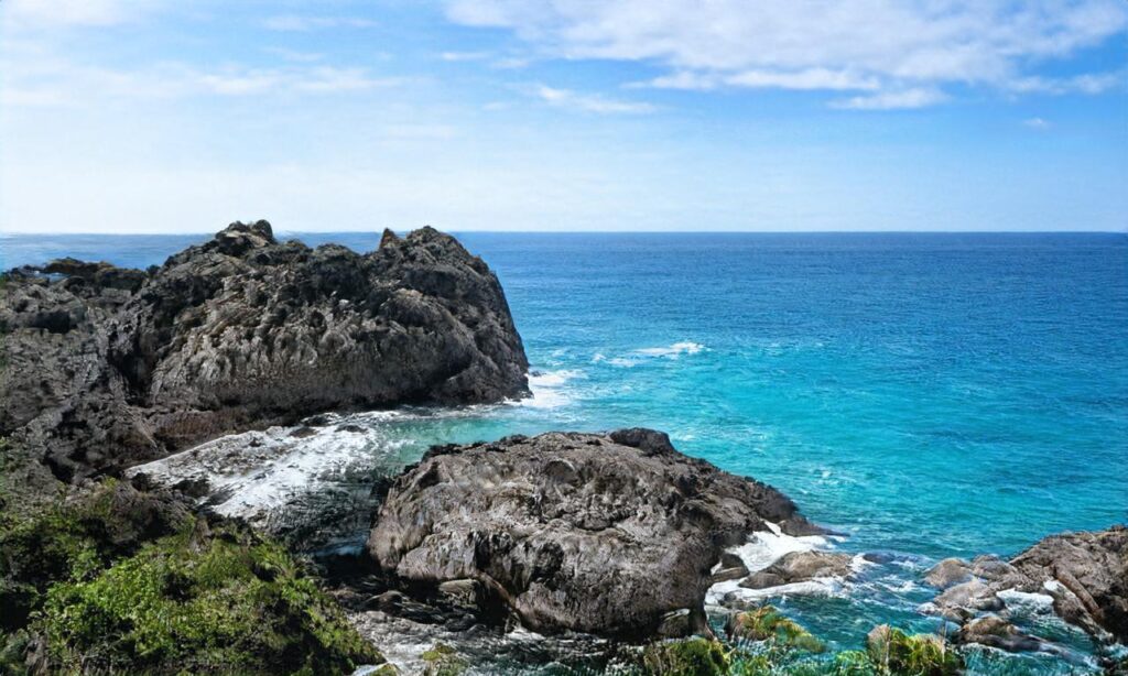 Plages de Barbâtre accepte les chiens à Noirmoutier-en-l'Île