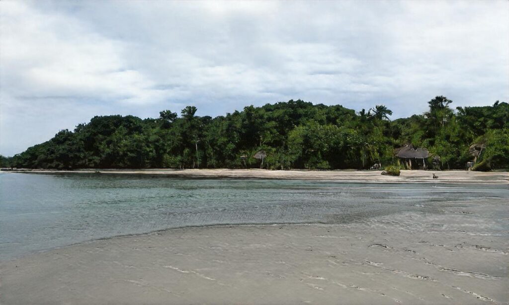Plages de l’Épine accepte les chiens à Noirmoutier-en-l'Île