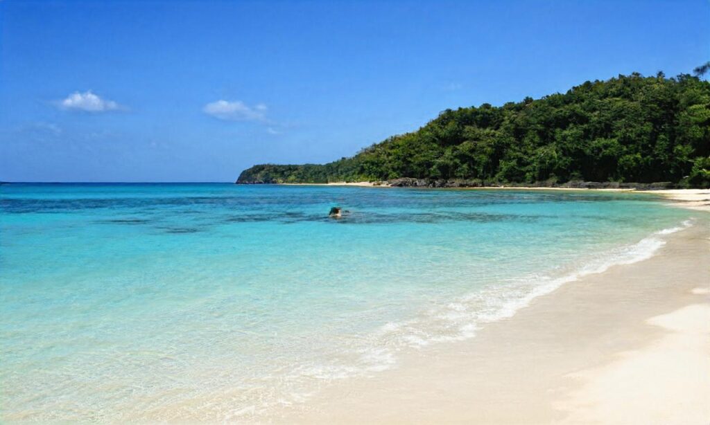 Plage de Palombaggia accepte les chiens à Porto-Vecchio