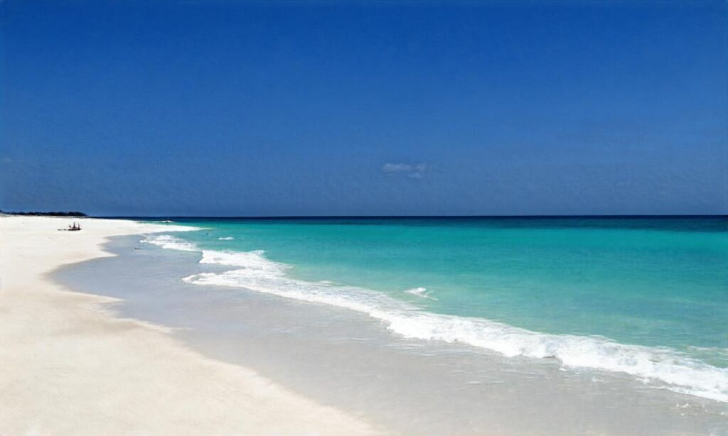 Plage du Port accepte les chiens à Cannes