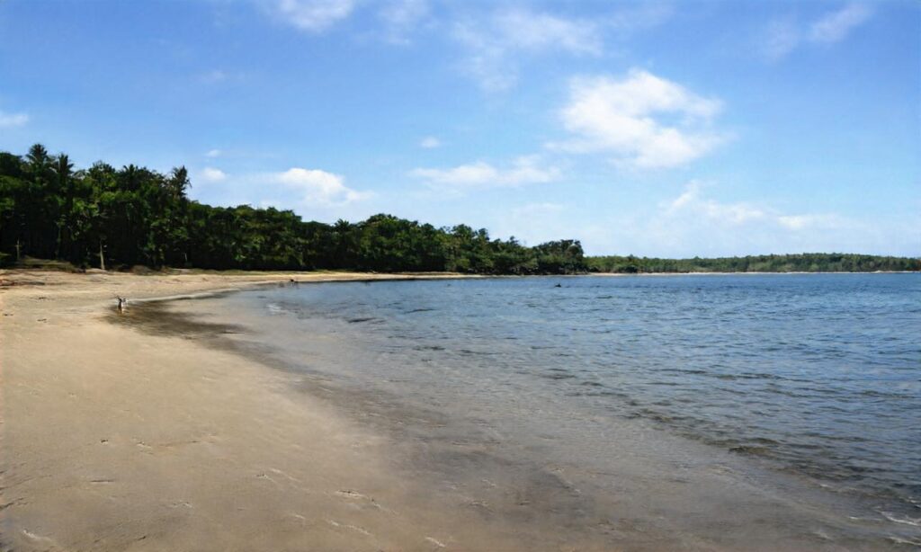 Le Porge plages accepte les chiens à Le Porge