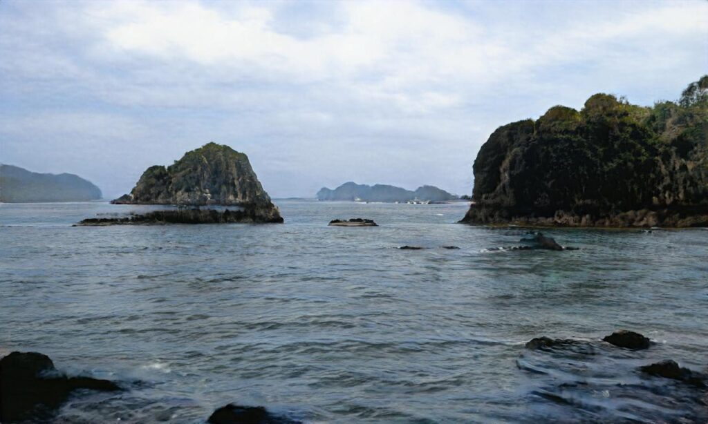 Plage du Pin Sec accepte les chiens à Naujac-sur-Mer