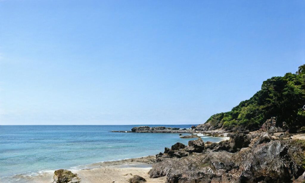 Hourtin Plages accepte les chiens à Hourtin