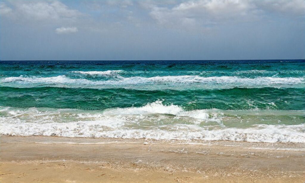 Plage du Marais d’Yves accepte les chiens à Yves
