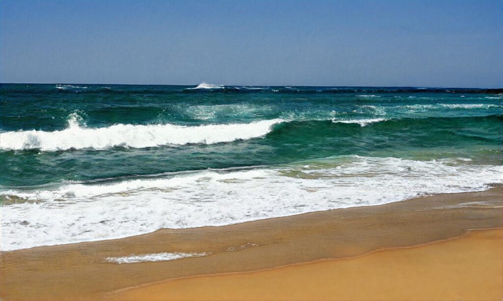 Plage de Sauveterre accepte les chiens à Les Sables-d'Olonne
