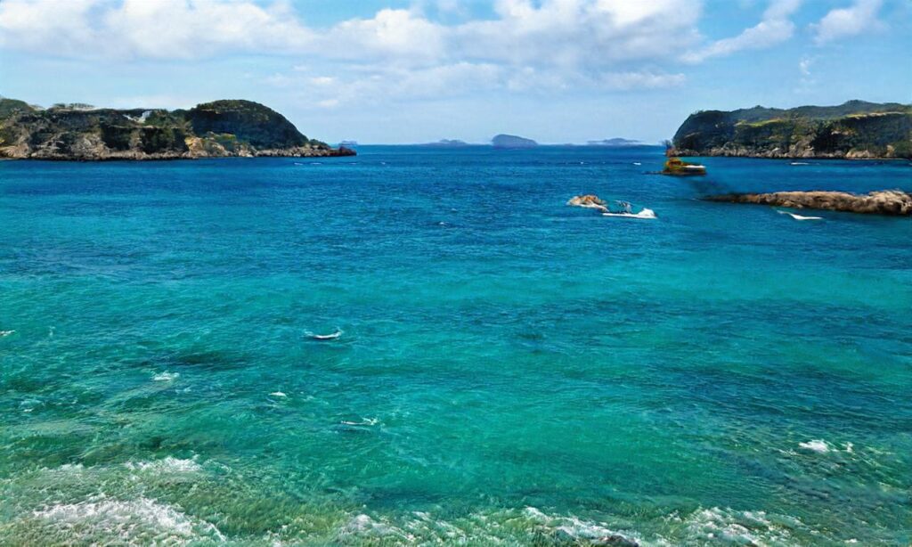 Plage de Goas Treiz accepte les chiens à Trébeurden