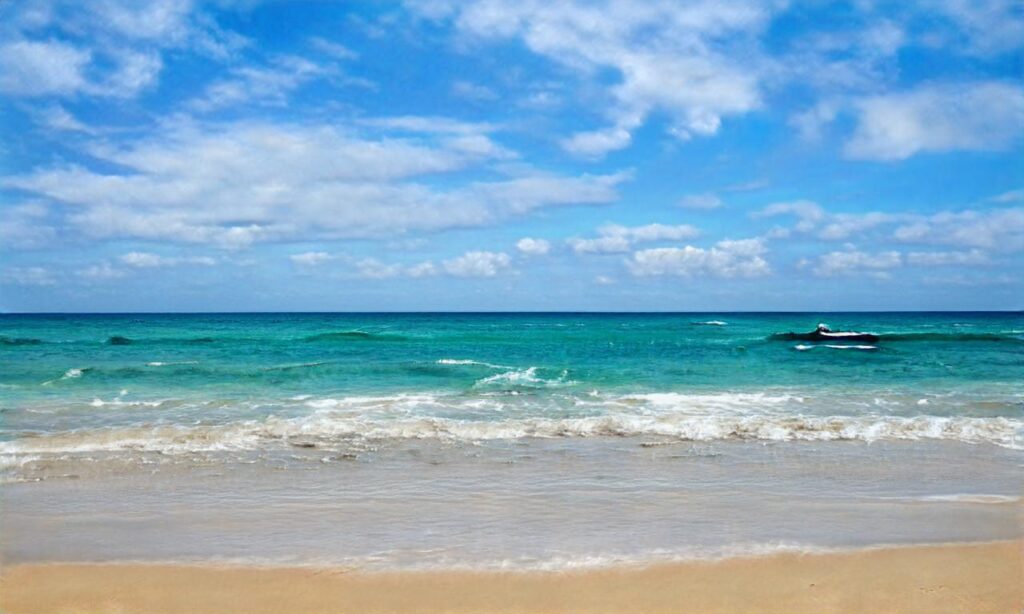 Plage de Barneville accepte les chiens à Barneville-Carteret