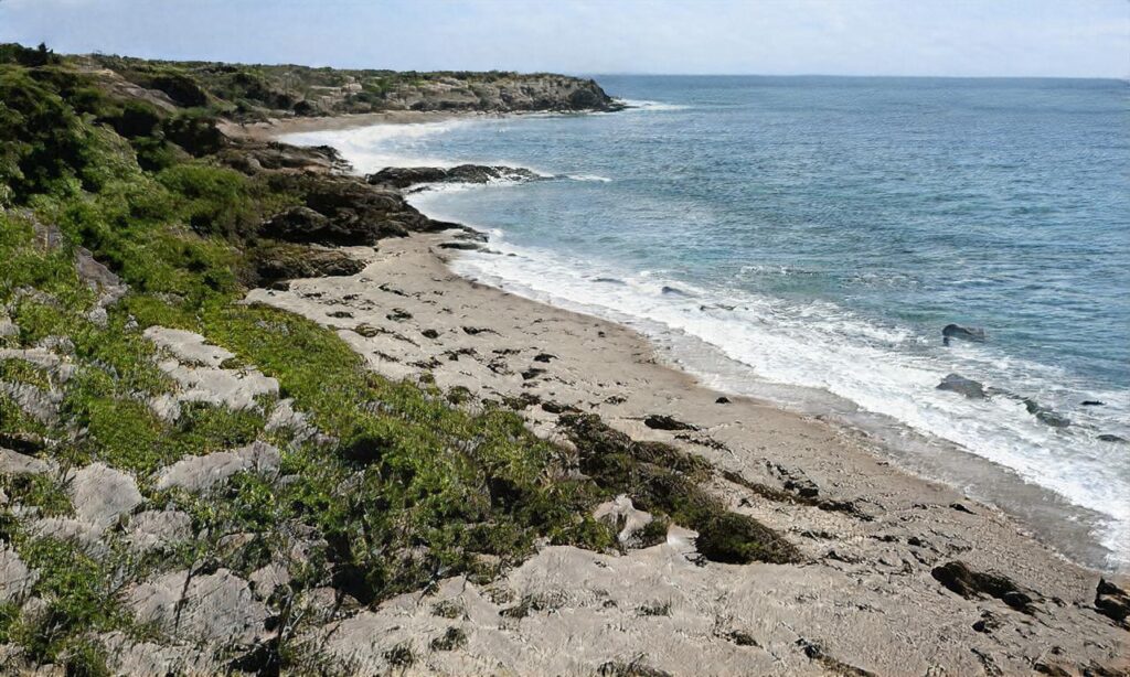 Plage de Génerelles – La Tranche sur Mer accepte les chiens à La Tranche-sur-Mer