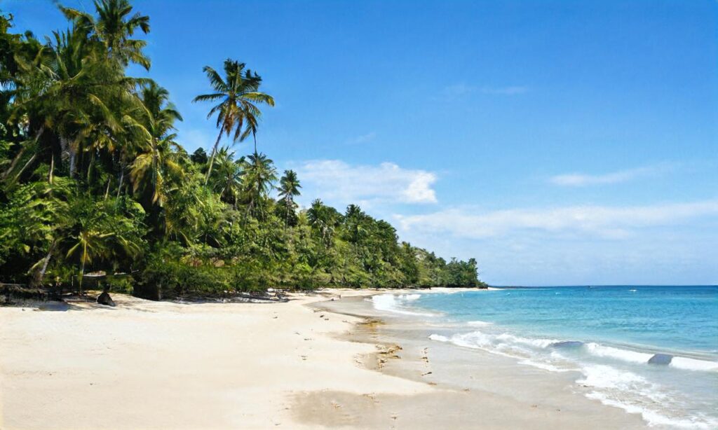 Plage de la baie de Bonne Anse accepte les chiens à Les Mathes