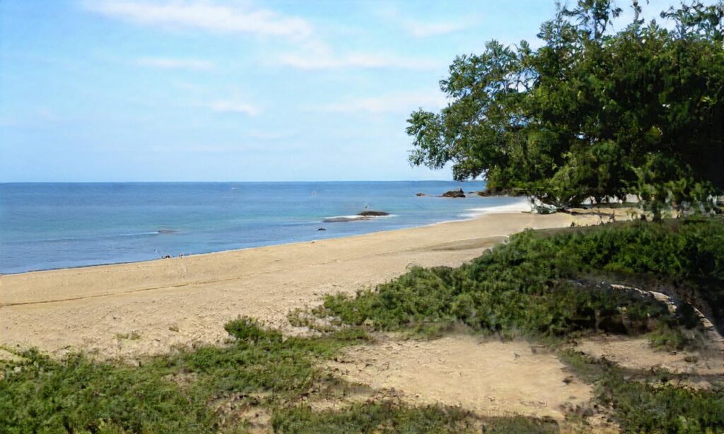 Plages Erdeven accepte les chiens à Erdeven