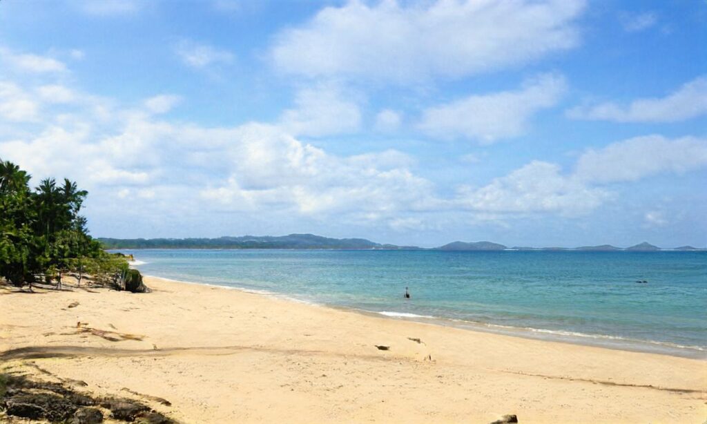 Grève d’Hirel accepte les chiens à Le Vivier-sur-Mer