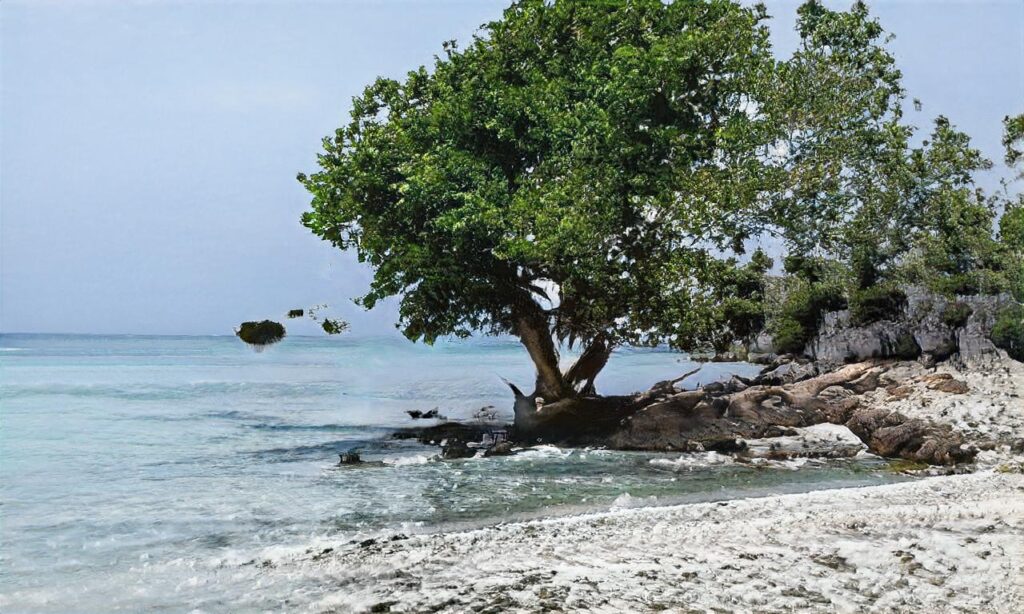 Plage de Jullouville accepte les chiens à Jullouville