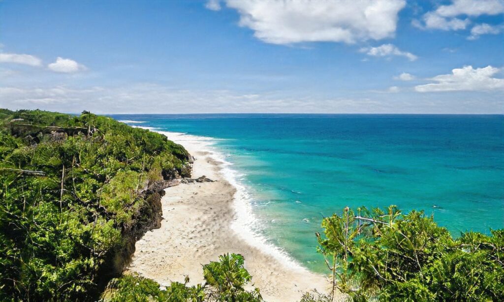 Plage Nord – Fort-Mahon accepte les chiens à Fort-Mahon-Plage