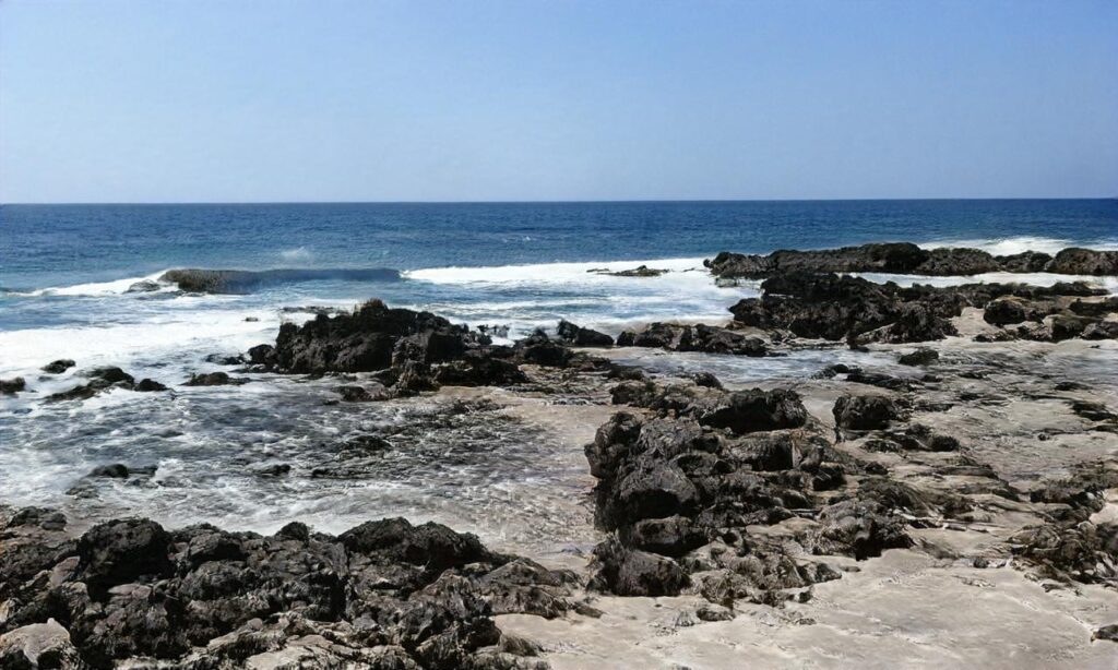 Plage de Carolles accepte les chiens à Jullouville

