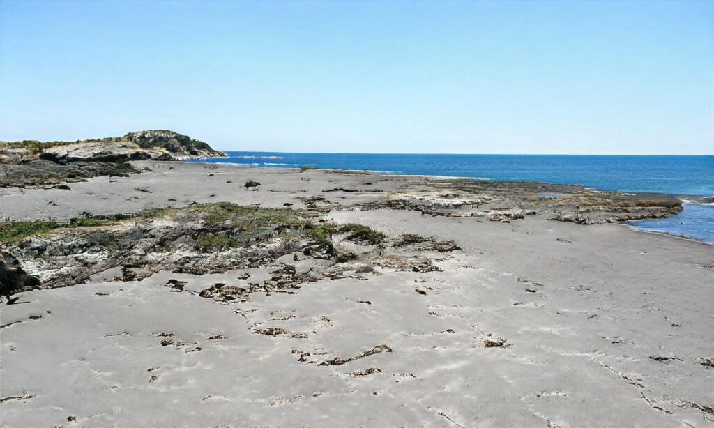 Plage côté sud accepte les chiens à Fort-Mahon-Plage