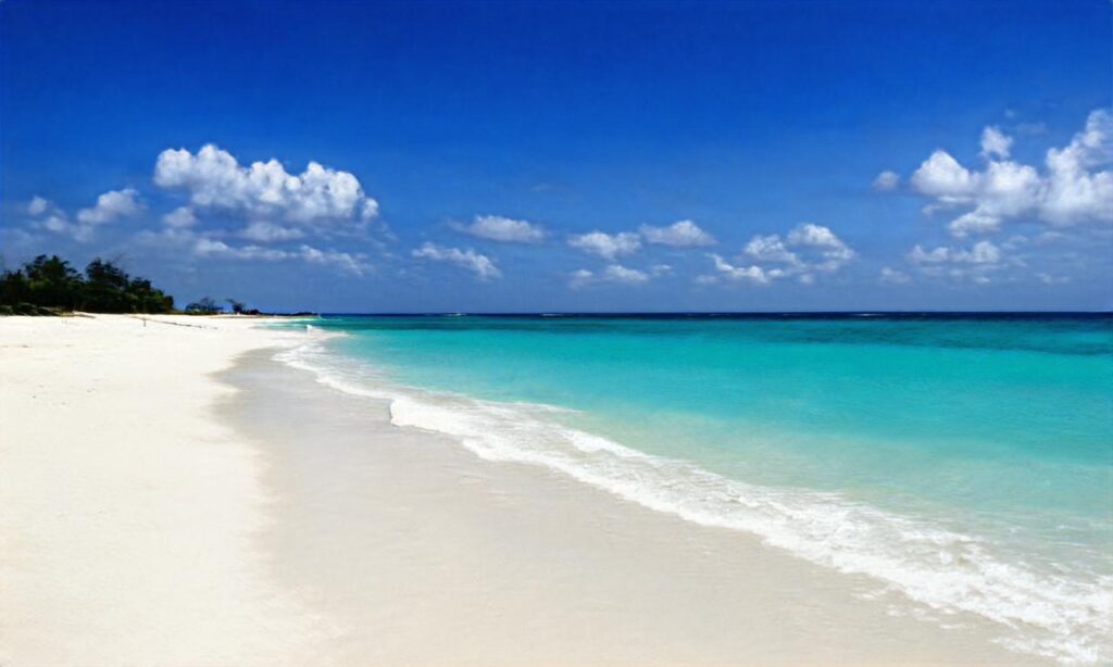 Plage de Bricqueville-sur-Mer accepte les chiens à Bricqueville-sur-Mer